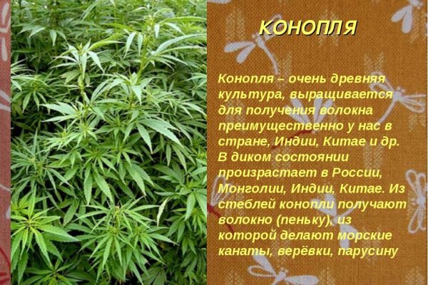 Darknet ссылка кракен kraken014 com