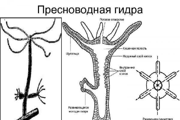 Кракен ссылки онлайн