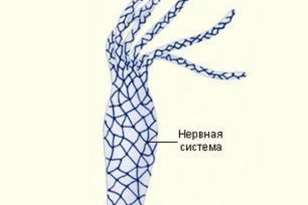 Кракен онион сайт io